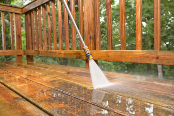 Professional Pressure Washing Services in Gloucester Courthouse, VA